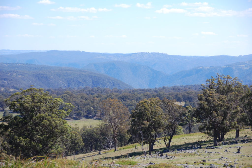 Rolling hills and valleys that make up the farming land around Armidale ** Note: Slight blurriness, best at smaller sizes